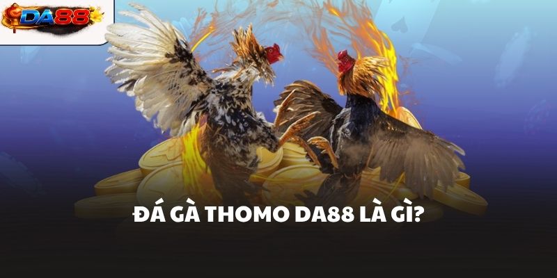 Đá gà Thomo DA88 là gì?