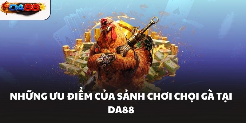 Những ưu điểm của sảnh chơi chọi gà tại DA88